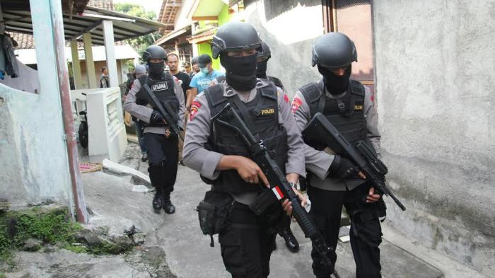 Harga Bibit Sengon Laut