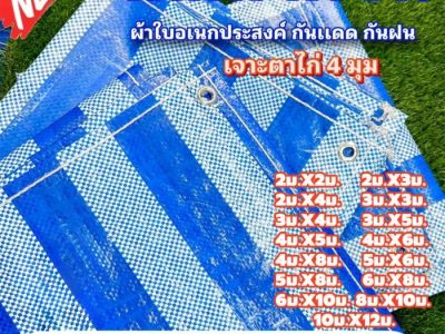 Harga Buah Persimmon