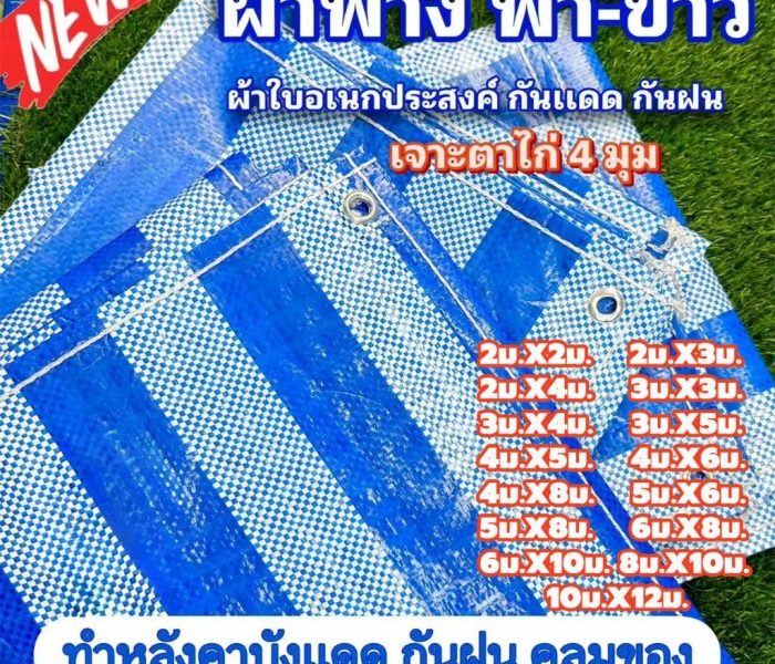 Harga Buah Persimmon