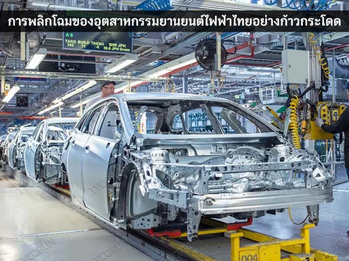 Pupuk Kalsium Terbaik Untuk Cabe di Jelutung, Kota Jambi