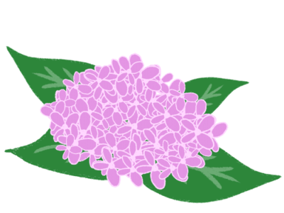 Bibit Bibit Sawit Unggul