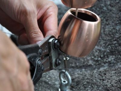 Harga Bibit Pohon Kelengkeng