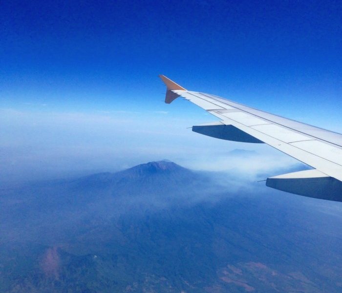 Benih Terong Ungu