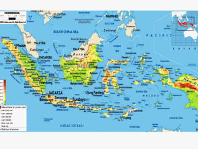 Cara Ternak Ayam Potong Rumahan
