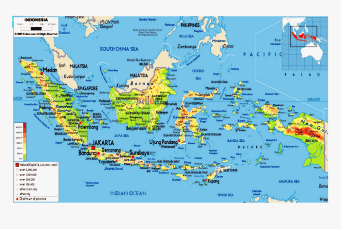 Cara Ternak Ayam Potong Rumahan