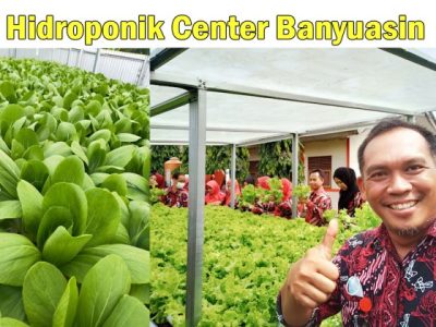 Hidroponik Pemula di Binakal, Bondowoso