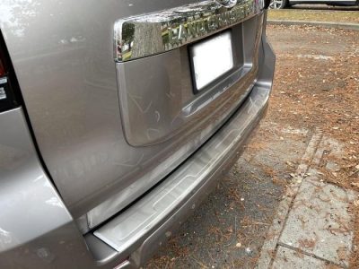 Tanaman Hias Yang Bisa Dicangkok