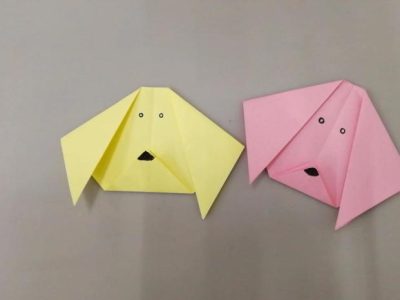 Pupuk Generatif Terbaik