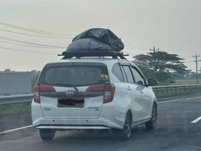 Ayam Petelur Tidak Produksi di Wajo, Kota Makassar