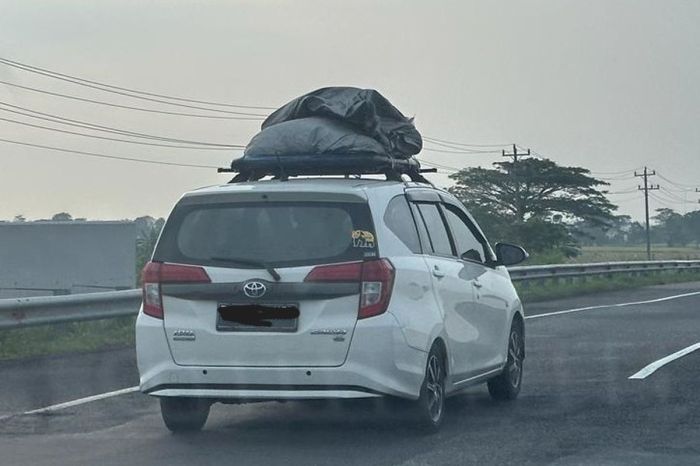 Ayam Petelur Tidak Produksi di Wajo, Kota Makassar