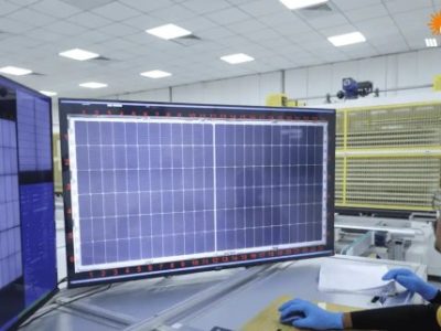 Harga Bibit Sawit Dxp Sriwijaya