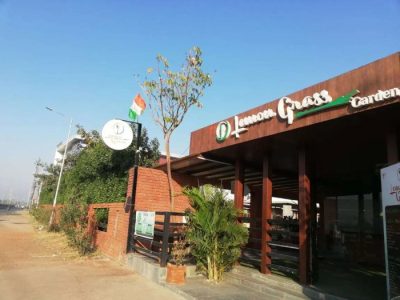 Bibit Kelapa Sawit Marihat