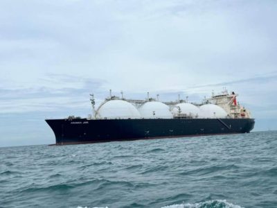 Harga Benih Sayuran Hidroponik