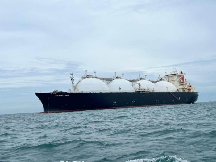 Harga Benih Sayuran Hidroponik
