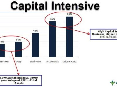 Harga Bibit Kelengkeng Cangkok