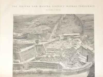 Benih Padi Galur Unggul