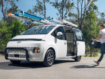 Bibit Seledri Unggul