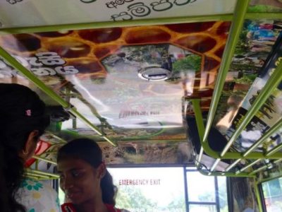 Bibit Unggul Terong Ungu