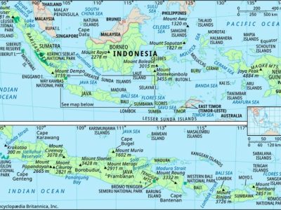 Cara Menanam Benih Padi