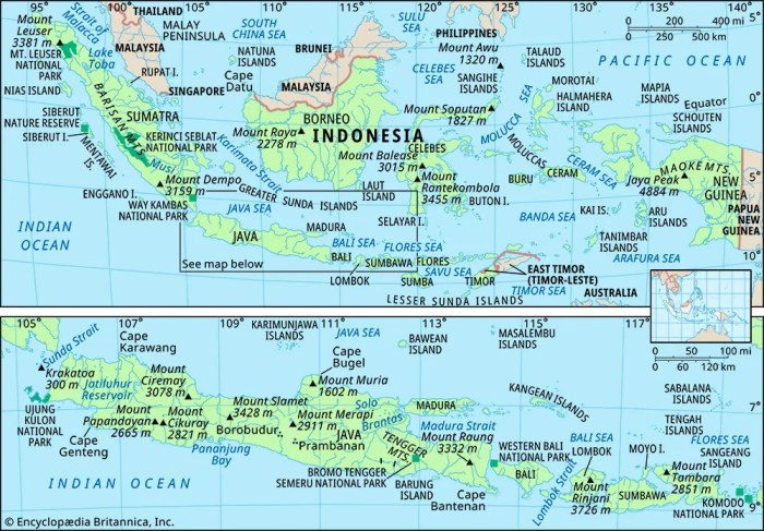 Cara Menanam Benih Padi