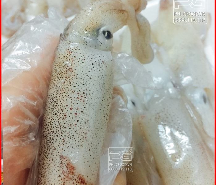 Ayam Petelur Tidak Produksi di Talun, Blitar