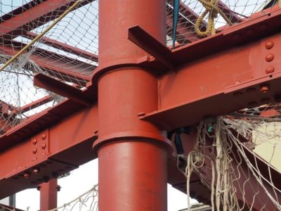 Harga Bibit Kelapa Sawit