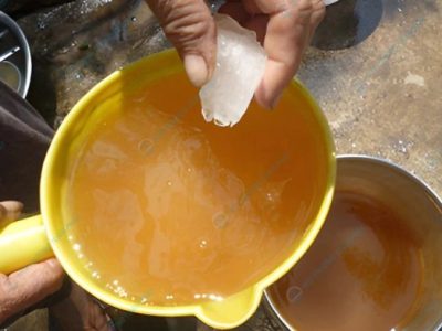 Pupuk Organik Cair Terbaik