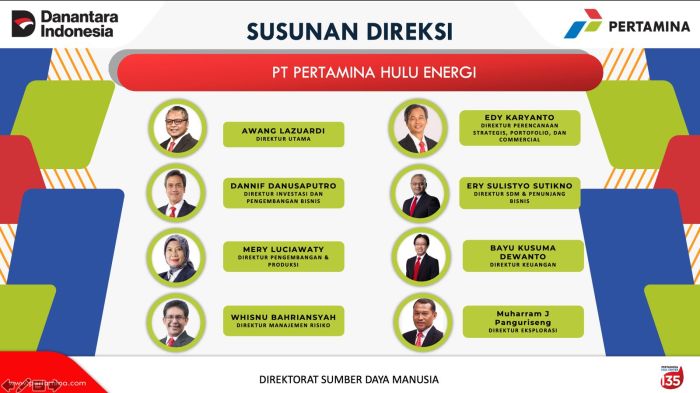 Harga Bibit Buah Delima