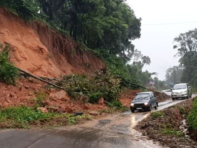 Harga Benih Selada Hidroponik