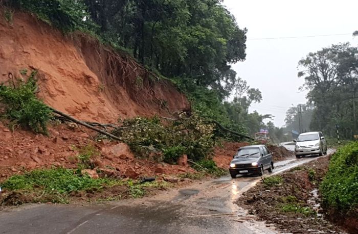 Harga Benih Selada Hidroponik