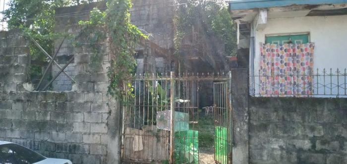 Hidroponik Pemula di Cluring, Banyuwangi
