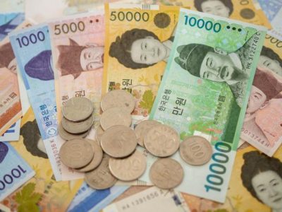Harga Bibit Tomat Gustavi F1