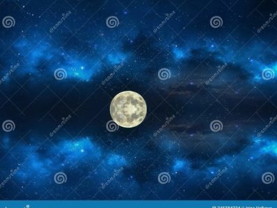 Harga Benih Semangka Amara F1