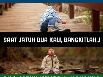 Bibit Pohon Semangka