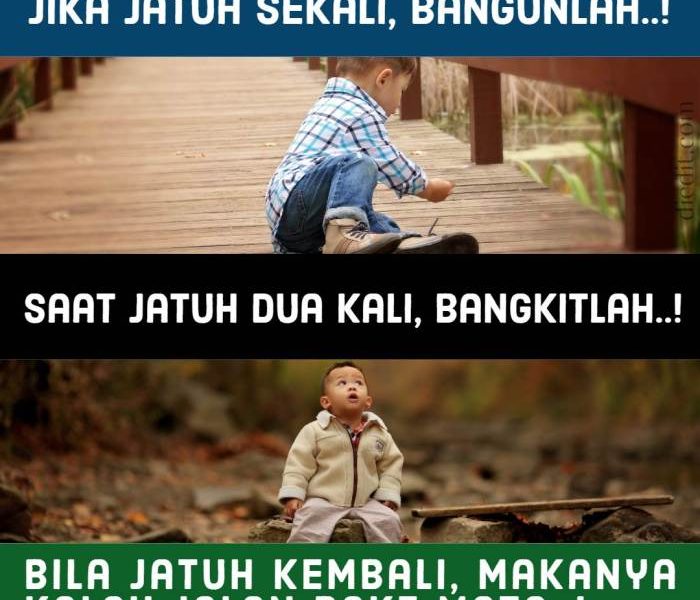 Bibit Pohon Semangka