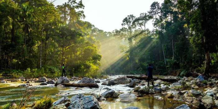 Harga Cabai Hari Ini Di Jember