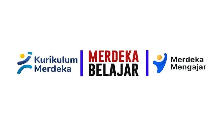 Cara Menanam Cabe Rawit Di Sawah