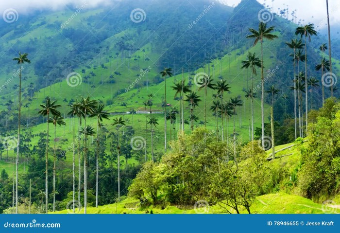 Harga Cabai Nasional Hari Ini