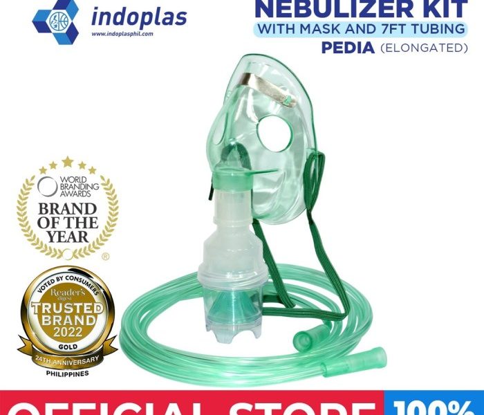 Harga Pohon Kurma Yg Sudah Berbuah