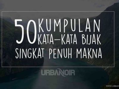 Bibit Kemangi Unggul