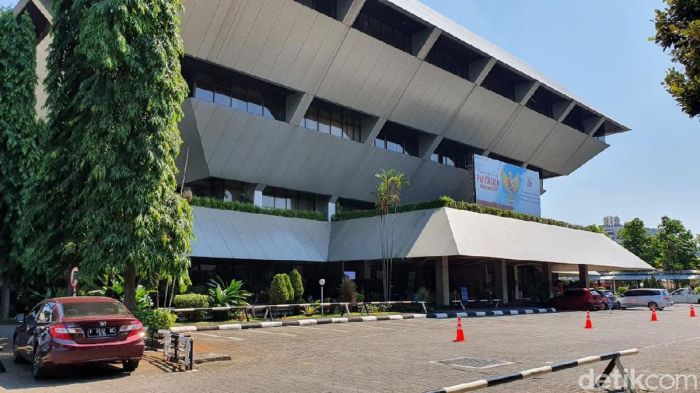 Cara Menanam Padi Beras Merah
