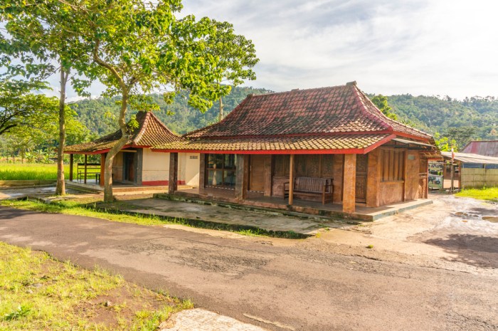 Bibit Takokak
