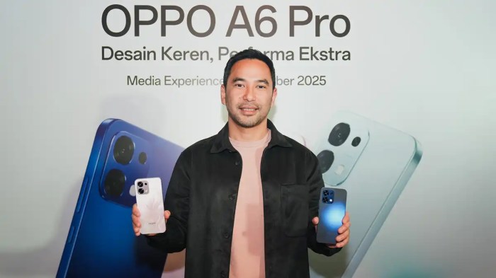 Ayam Petelur Tidak Produksi di Buntu Batu, Enrekang
