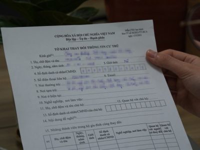 Bibit Palem Sikas