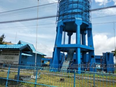 Harga Pohon Lemon