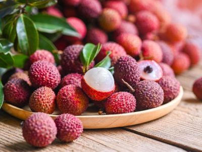 Bibit Unggul Jagung Hibrida