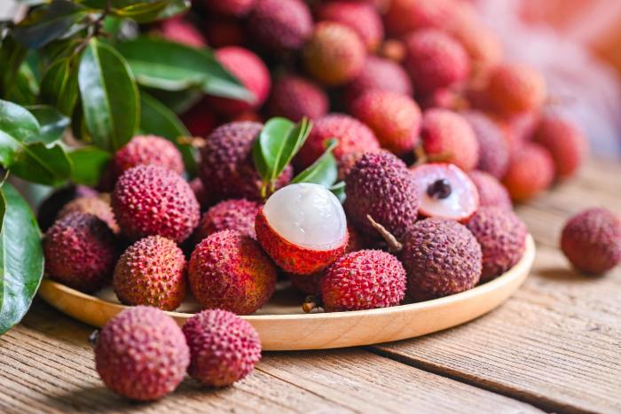 Bibit Unggul Jagung Hibrida