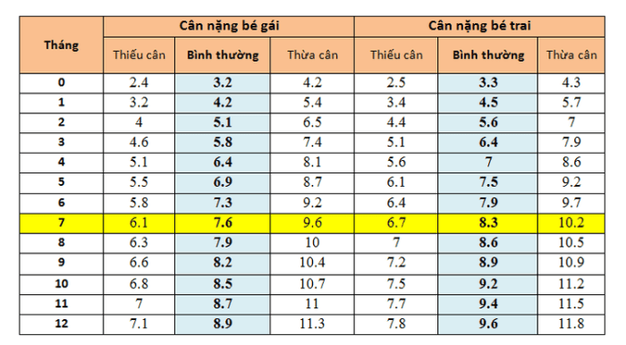 Bibit Tomat Cap Panah Merah