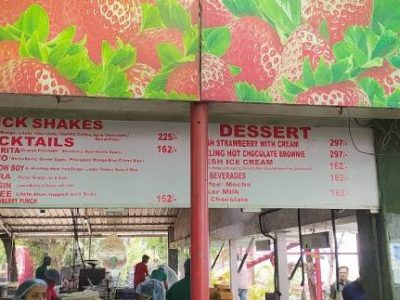 Cari Bibit Sayuran