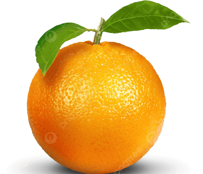 Bibit Kelengkeng Puangphet